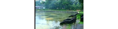 81. திருக்கடித்தானம்